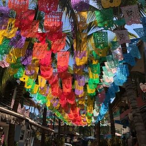 Meet your Posher, Tamara